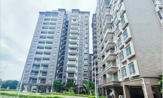 东莞虎门威远4栋花园精装统建楼「滨海湾大学城」通燃气带停车场 带飘窗T户型 分期15年