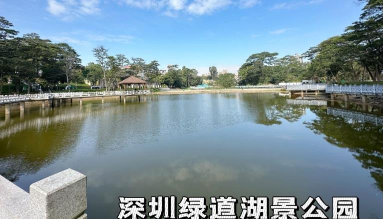 龙华大浪小产权房 「悦宏大厦」可落户通燃气 原始户型 停车无忧 总价25.8万起