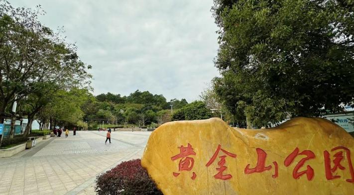 深圳坂田北地铁口新盘开售【坂田雅苑】公园为邻 大阳台 通燃气 可落户  总价31.8万起