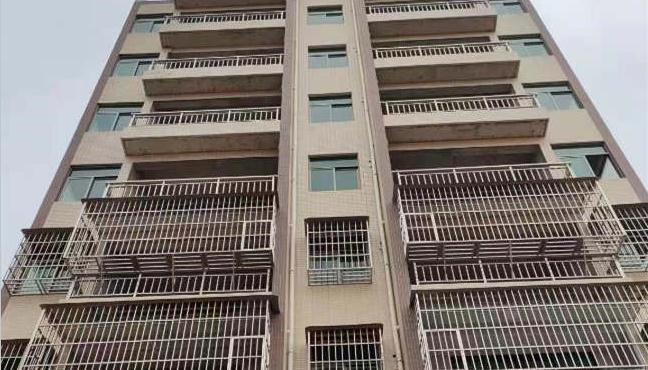 惠阳东风临深新盘「东风7号」​地铁口物业 与龙腾盛世为邻 精装二房28.8万起 